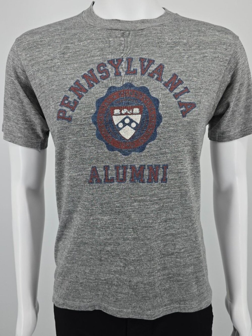 Vintage 1980s Jerzees Tri-Blend University of Pennsylvania Alumni T-Shirt (M)